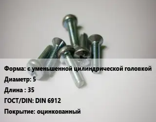 Винт с уменьшенной цилиндрической головкой 5х35 DIN 6912 оцинкованный